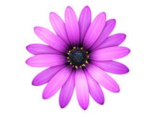 TextMate - DHH 推荐的 macOS 上强大的文本编辑器