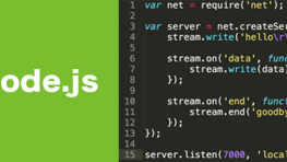 Express 实践教程